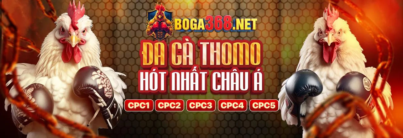 Máy Đánh Bạc 6623tu
